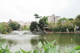 钦州市中山公园改扩建工程施工