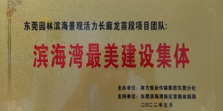 喜报丨东莞PA旗舰厅荣获“滨海湾最美建设集体”殊荣